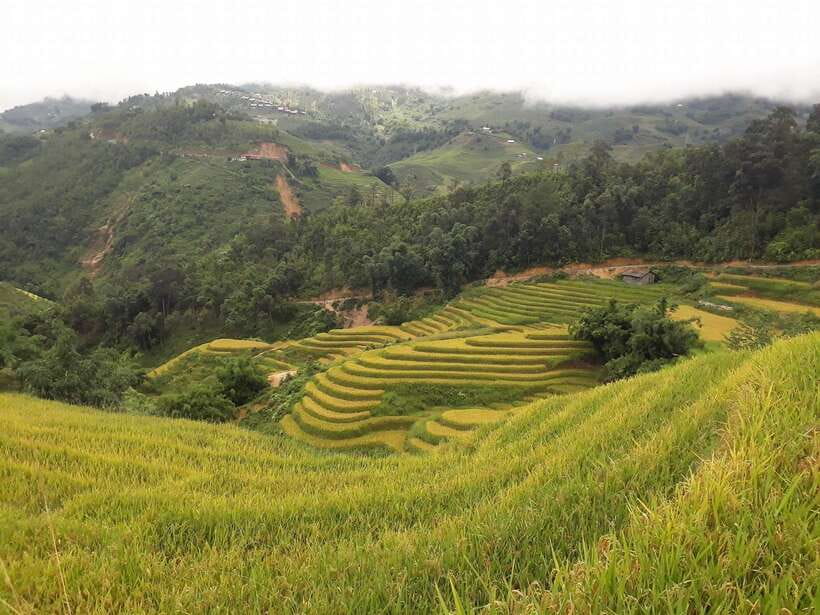 Sa Pa: Muong Hoa Valley Trek and Local Ethnic Villages - Ta Van Giay and the Muong Hoa rock carvings