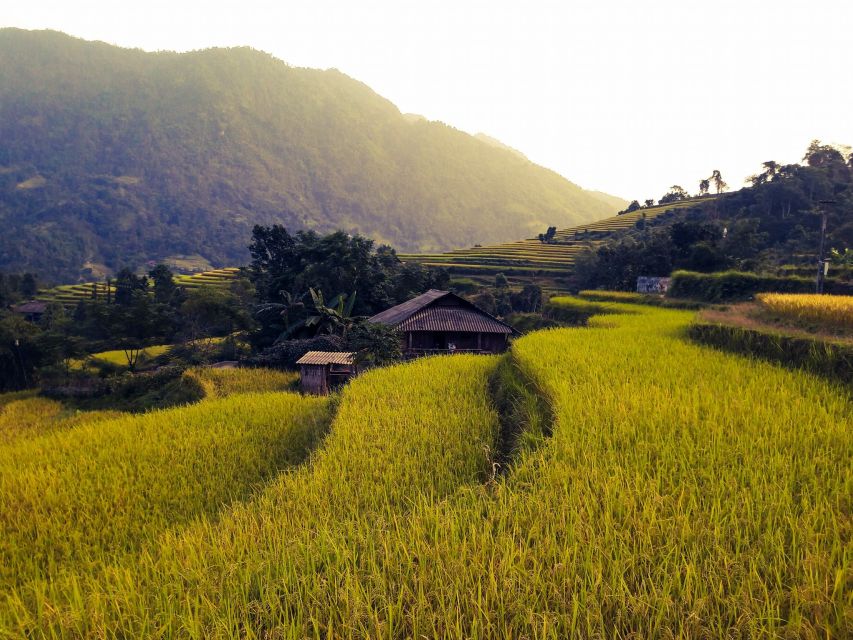 Sa Pa: Muong Hoa Valley Trek and Local Ethnic Villages - Bamboo forest, waterfall, and the climb back