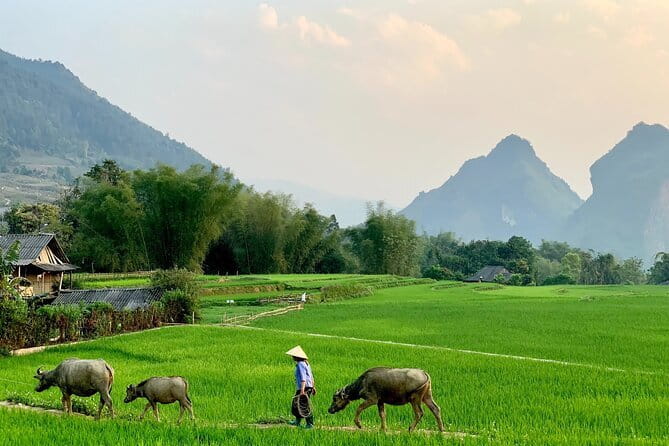 Sa Pa Trekking 2 Days 3 Nights Homestay by Night Train - Early arrival in Lao Cai and the move to Sa Pa