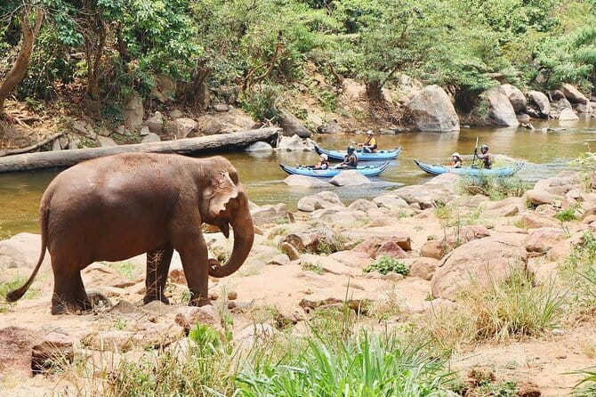 Safety whitewater rafting in Chiangmai by Khampan Rafting - Booking, weather, and cancellation details