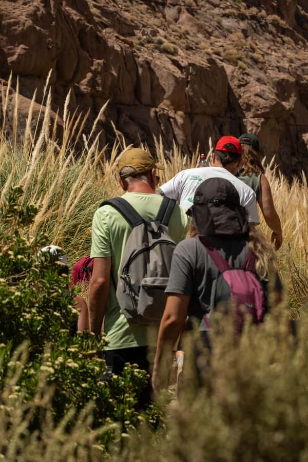 San Pedro de Atacama: Canyon Swimming Pools Trekking Trip - Key points to know before you book