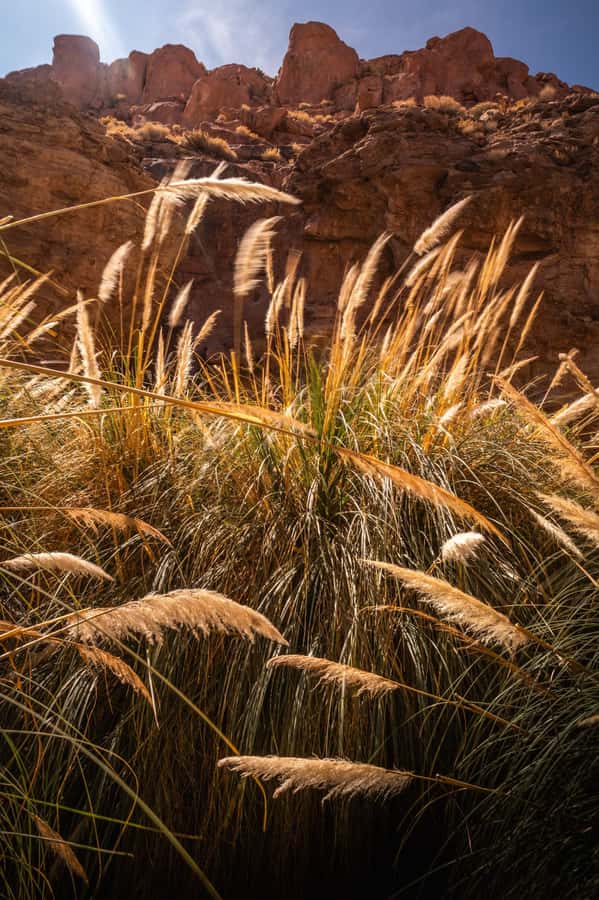 San Pedro de Atacama: Canyon Swimming Pools Trekking Trip - Should you book this tour?