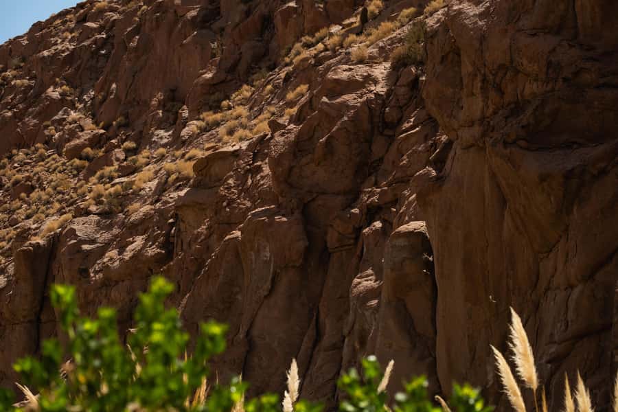 San Pedro de Atacama: Canyon Swimming Pools Trekking Trip - Is $53 a fair price?