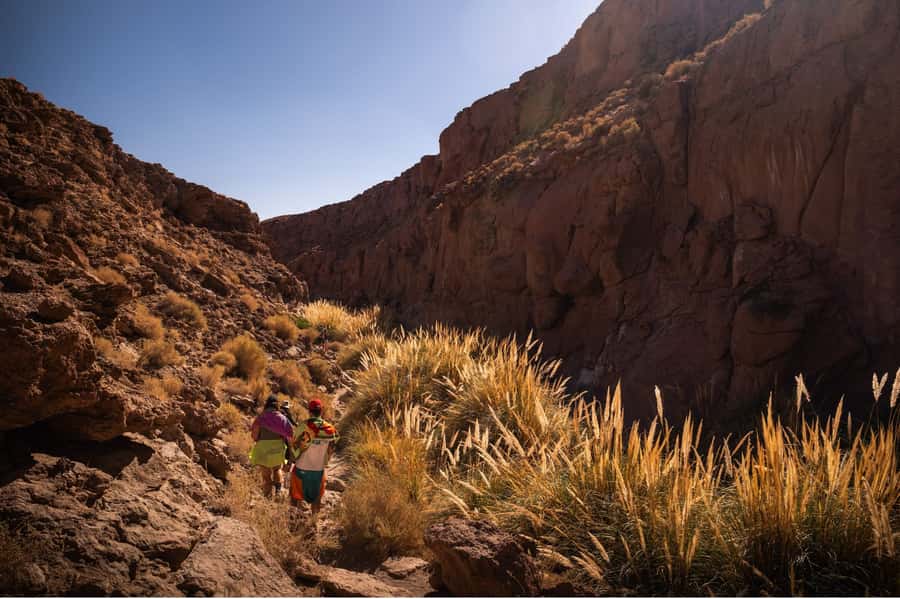 San Pedro de Atacama: Canyon Swimming Pools Trekking Trip - What to pack for the canyon and pools
