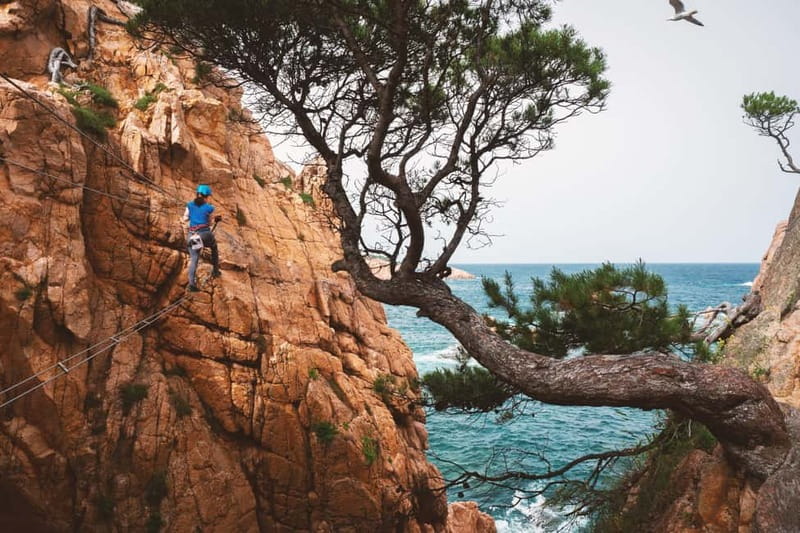 Sant Feliu de Guíxols: Guided tour of the Cala del Molí Via Ferrata - Meeting near Cala del Molí