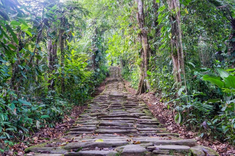 Santa Marta: Multi-Day Trek to The Lost City - Key points to know before booking