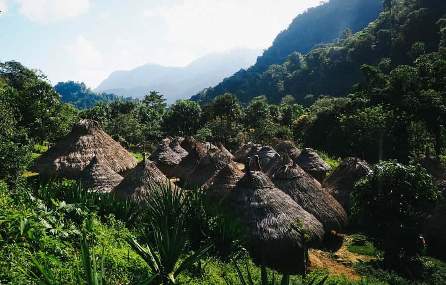 Santa Marta: Multi-Day Trek to The Lost City - Food, sleeping arrangements, and daily comfort