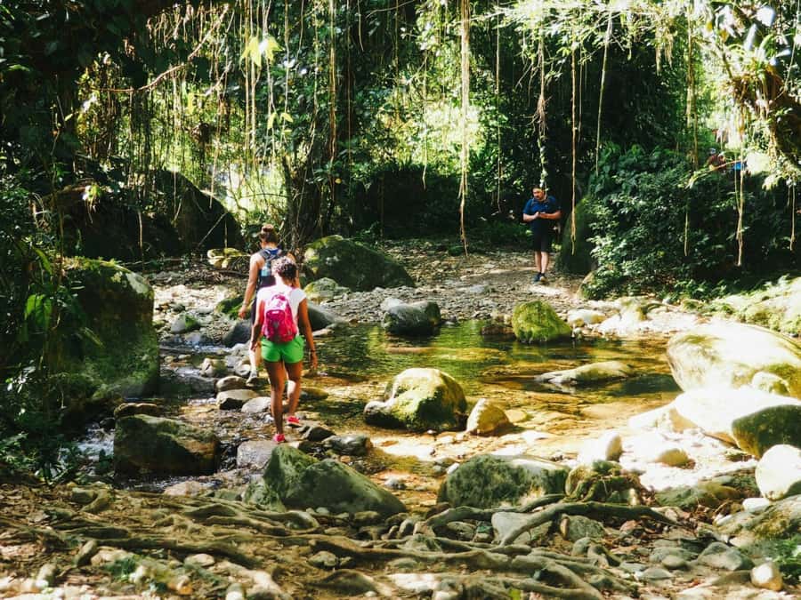 Santa Marta: Multi-Day Trek to The Lost City - Is $713 a fair price?