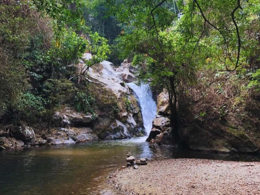 Santa Marta: Trekking in Minca Complete Waterfall Circuit - Is $49 a fair price?