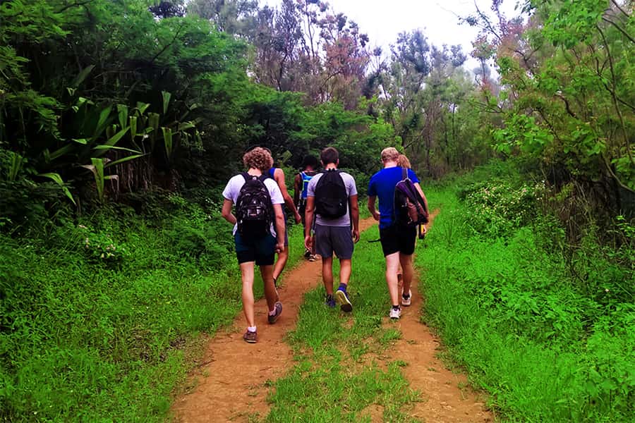 Santiago Island: Serra Malagueta & Tarrafal Beach Trek Tour - The €106 price and what you receive