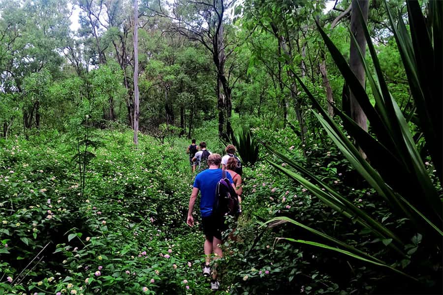 Santiago Island: Serra Malagueta & Tarrafal Beach Trek Tour - Tarrafal Beach after the hike
