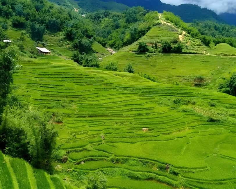 Sapa 1 Day Long Trek: Trek to Hau Thao and Sa Seng Villages - Guide quality is a major part of the value