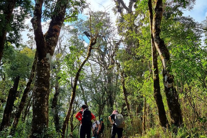 Sapa 1 day trek with local guide to the village by Comlam - A full day from Sapa into Muong Hoa Valley