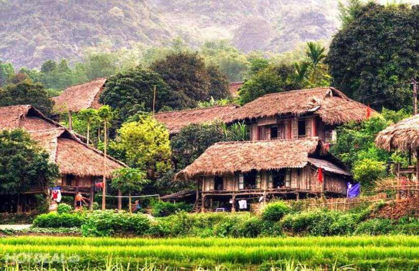 Sapa: 2-Day Local Guided Valley Trek with Night Homestay - Su Pan bamboo forest on the second morning