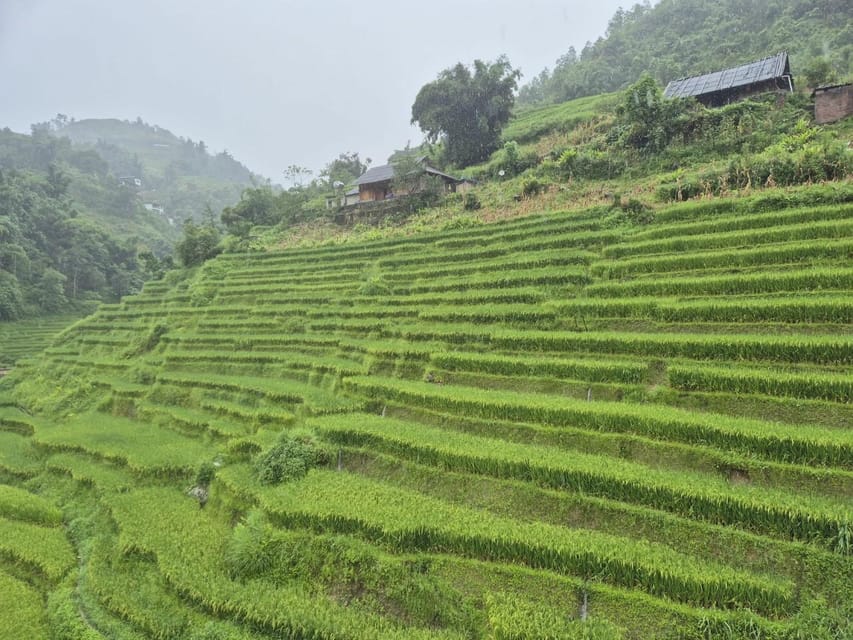 SAPA 2 Day trekking & 1 night Homestay with LOCAL PEOPLE - What the $56 price includes