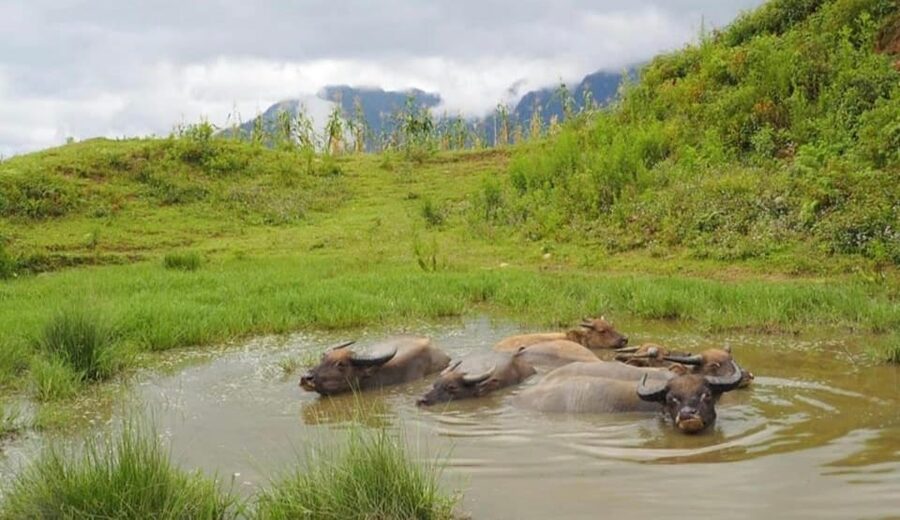 SAPA 2 Day trekking & 1 night Homestay with LOCAL PEOPLE - Day one: Fansipan views, Hang Da, and Hau Thao