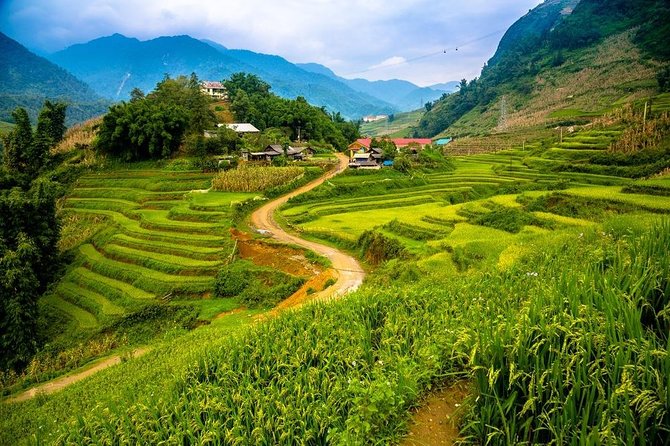 Sapa 2 days 1 night trekking Lao Chai Ta Van - Fansipan mountain by cable car - The overnight bus from Hanoi to Sapa