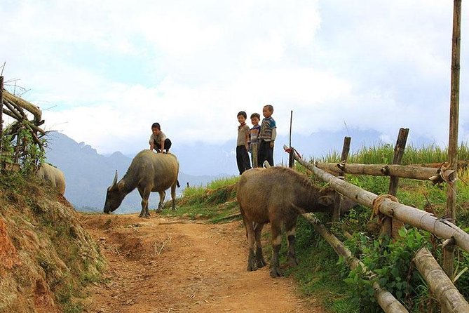 Sapa 2 days 1 night trekking Lao Chai Ta Van - Fansipan mountain by cable car - The walk to Ta Van and its local character