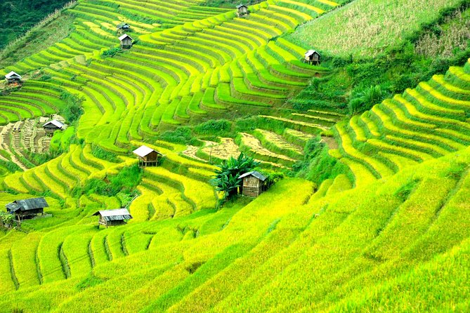 Sapa 2D1N Trekking to Giang Ta Chai Village from Hanoi by Bus - An overnight in a simple Ta Van bungalow