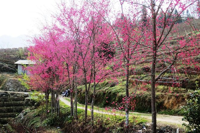 Sapa 2D1N Trekking to Giang Ta Chai Village from Hanoi by Bus - Day one: Y Linh Ho, Lao Chai, and Ta Van