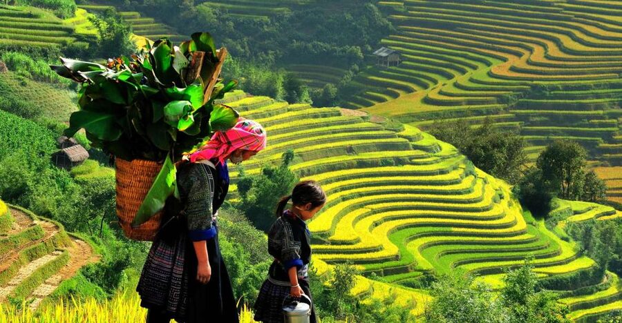 Sapa: 3-Day, 3-Night Trek and Hotel with Overnight Train - Why this Sapa trip works well