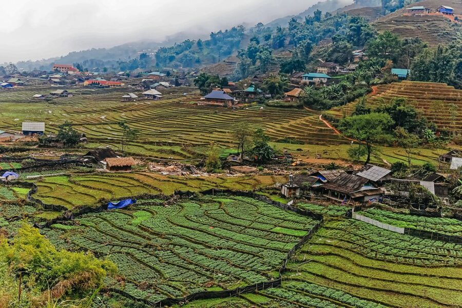 Sapa: 3-Day, 3-Night Trek and Hotel with Overnight Train - Night train from Hanoi to Lao Cai