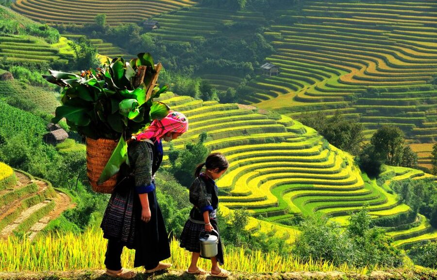 Sapa: 3-Day, 3-Night Trek and Hotel with Overnight Train - Y Linh Ho and Lao Chai in the Muong Hoa Valley