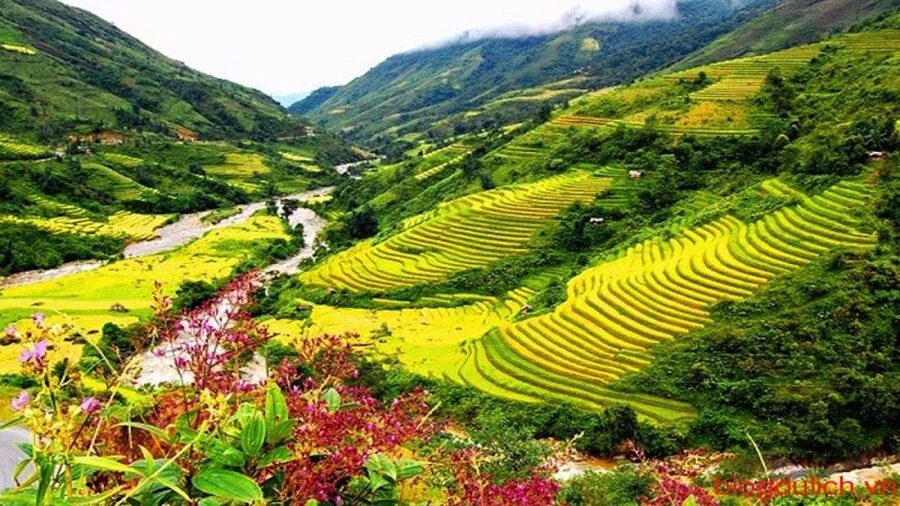 Sapa: 3-Day, 3-Night Trek and Hotel with Overnight Train - Who should book this Sapa trek?