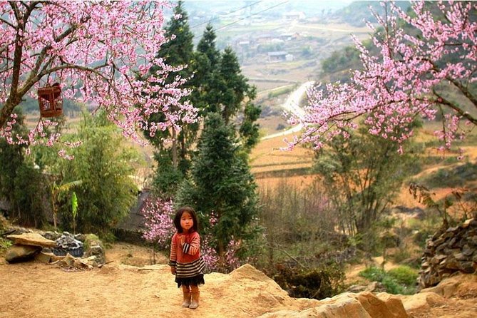 Sapa 3 Days 2 Nights Trekking Tour (1 Night In Ta Van Village, 1 Night In Hotel) - The 12-kilometer route from Y Linh Ho to Ta Van