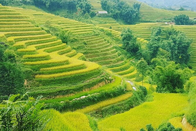 Sapa 3 Days Trekking Tour (1 Night in Bungalow, 1 Night In Hotel) - Guides, group size, and communication
