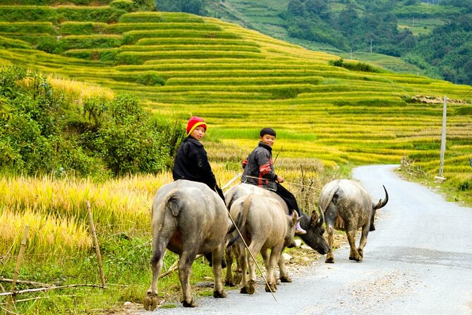 Sapa 3 Days Trekking Tour By Bus from Hanoi (2 Nights in Hotel) - Hotel rooms, meals, and what is included