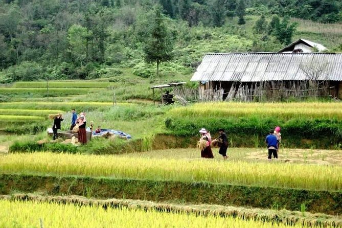 Sapa 3 Days Trekking Tour By Bus from Hanoi (2 Nights in Hotel) - Cat Cat village and the walk to its waterfall