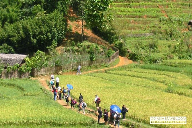 Sapa - Bac Ha Trek Tour - Night Train & Bus & Homestay overnight - What this Sapa and Bac Ha trip is really like
