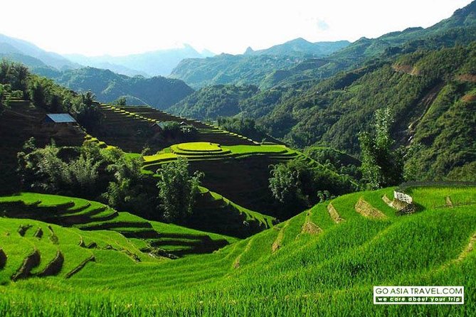 Sapa - Bac Ha Trek Tour - Night Train & Bus & Homestay overnight - Giang Ta Chai and the bamboo forest