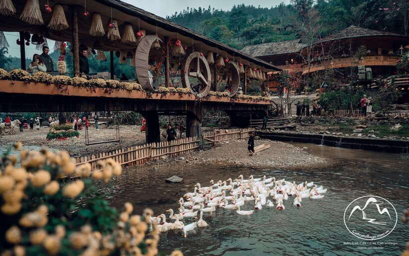 Sapa Cat Cat Village And Y Linh Ho Private Trekking Tour - What the guides add to the day