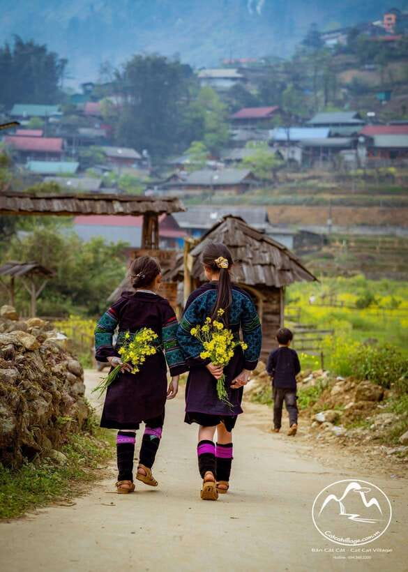 Sapa Cat Cat Village And Y Linh Ho Private Trekking Tour - The real value of a $40 private trek