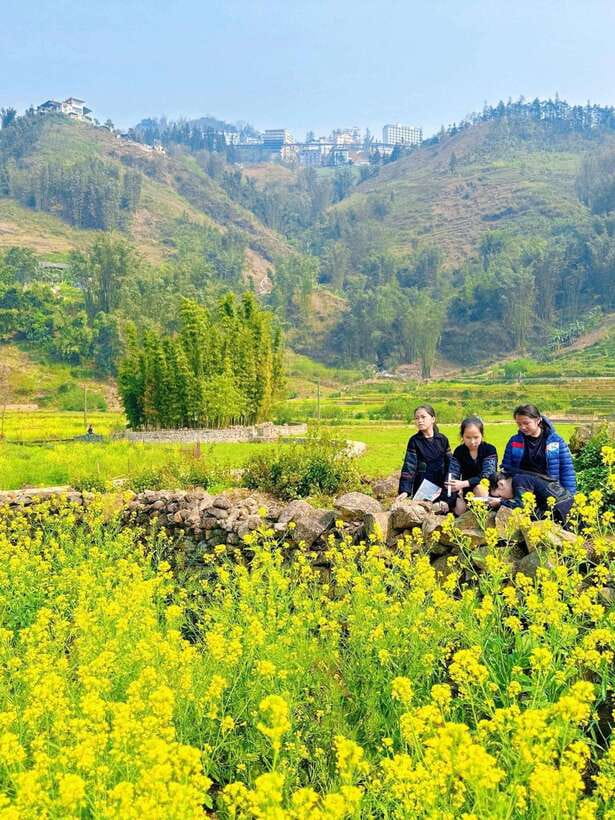 Sapa Cat Cat Village And Y Linh Ho Private Trekking Tour - Weather, clothing, and trail comfort