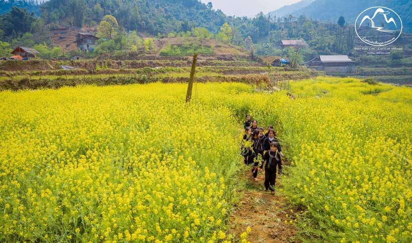 Sapa Cat Cat Village And Y Linh Ho Private Trekking Tour - Who will enjoy this Sapa experience