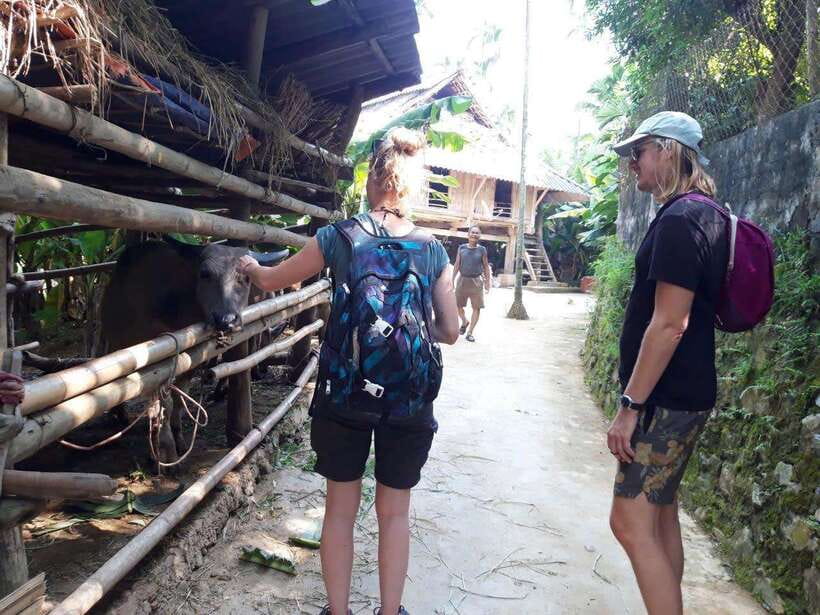 Sapa Cat Cat Village And Y Linh Ho Private Trekking Tour - Booking, cancellation, and practical details