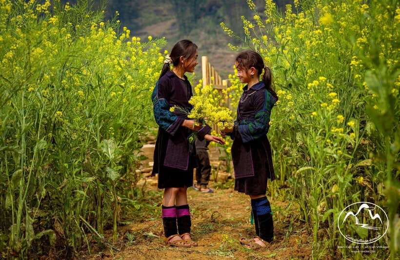 Sapa Cat Cat Village And Y Linh Ho Private Trekking Tour - From village paths to rice fields at Y Linh Ho