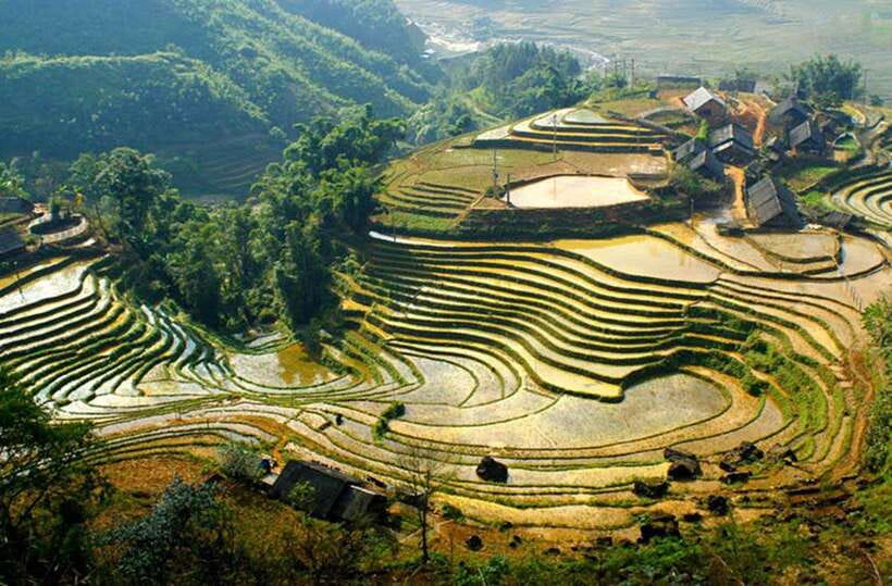 Sapa: Eco Adventure Terrace Fields and Local Villages Trek - Lunch at Lao Chai Sang around 12:30 PM