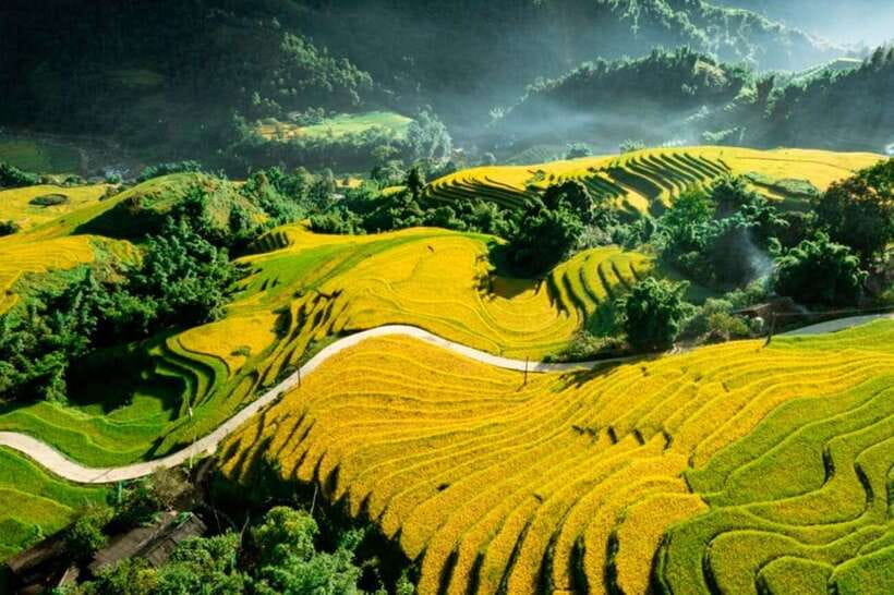 Sapa: Eco Adventure Terrace Fields and Local Villages Trek - Lao Chai Village and the working rice terraces
