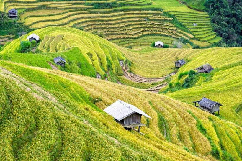 Sapa: Eco Adventure Terrace Fields and Local Villages Trek - Ta Van Village and the Dzay community