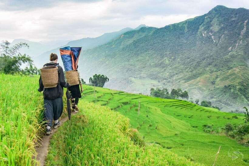 Sapa: Eco Adventure Terrace Fields and Local Villages Trek - Weather, fitness, and what to pack
