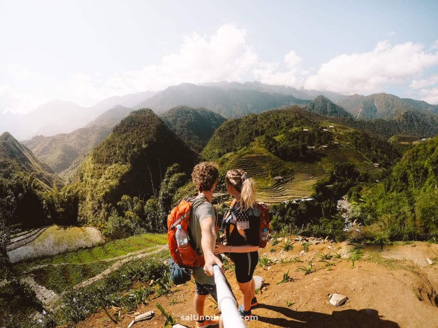 Sapa: Epic 1-Day Trek to Fansipan Mountain Peak - Pine forest and yellow bamboo at the lower elevations