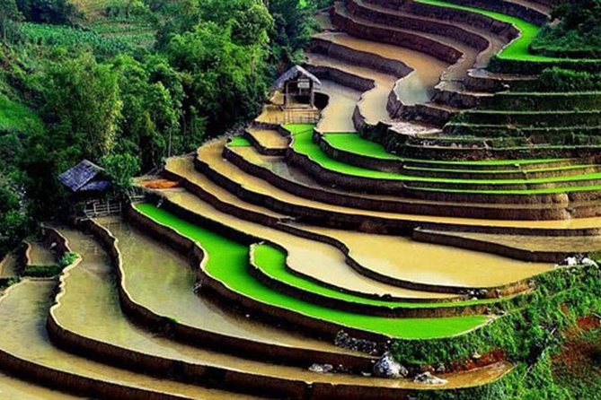 Sapa Hard Trekking by Bus for 2 days - Ta Van and a night with a local family