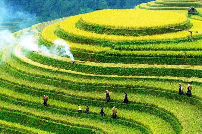 Sapa Muong Hoa Valley & Ta Van Eco Village Scenic Tour (No Trek) - Why this Sapa tour makes sense for a short visit