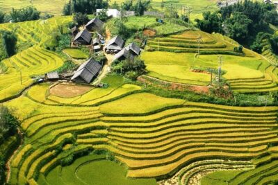 Sapa Muong Hoa Valley & Ta Van Eco Village Scenic Tour (No Trek)