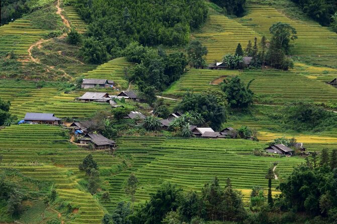 Sapa Muong Hoa Valley & Ta Van Eco Village Scenic Tour (No Trek) - My verdict on the Sapa valley experience
