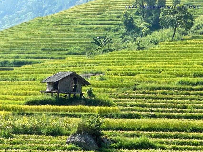 Sapa: Private Muong Hoa Valley and Homestay Trekking 2-Day - Why Muong Hoa Valley works so well on foot